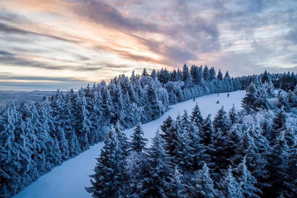 Mountain Lodge Getaway, Ski-In/Ski-Out, Heart Of The Village Snowshoe Exteriör bild